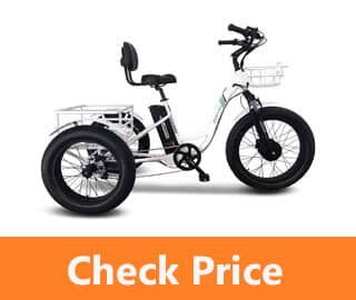 Caddy Electric Tricycle review