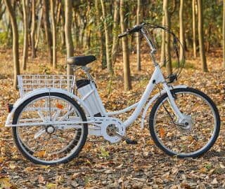 Best Electric Tricycle for Adults